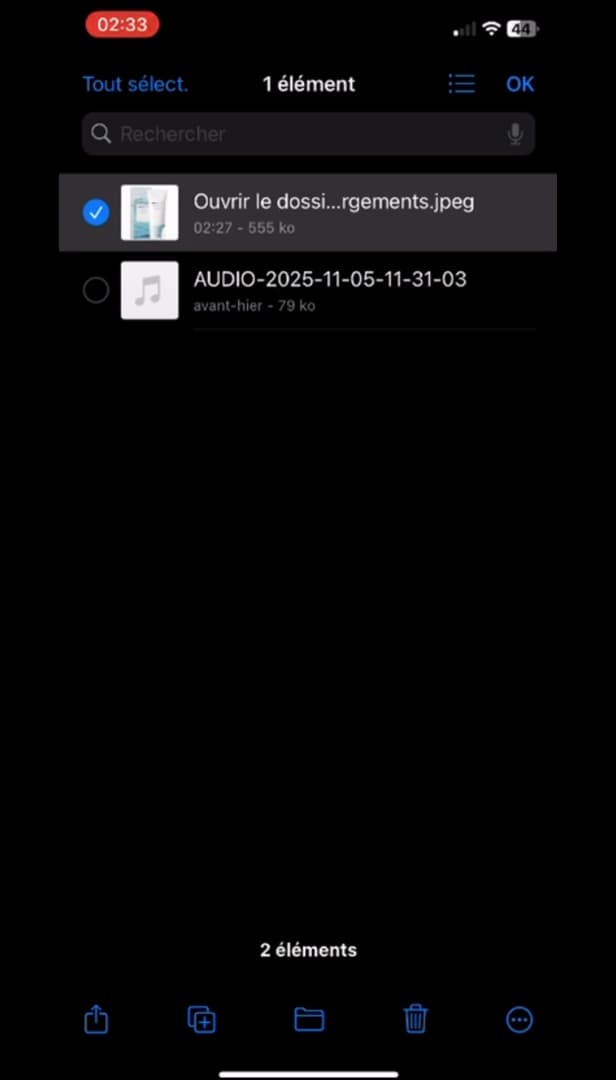 App Fichiers de l'iPhone avec une image sélectionnée