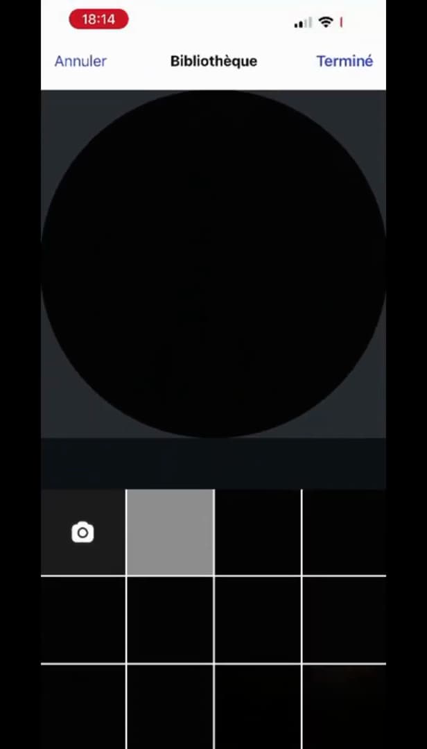 Cadrage d'une nouvelle photo de profil sur Instagram