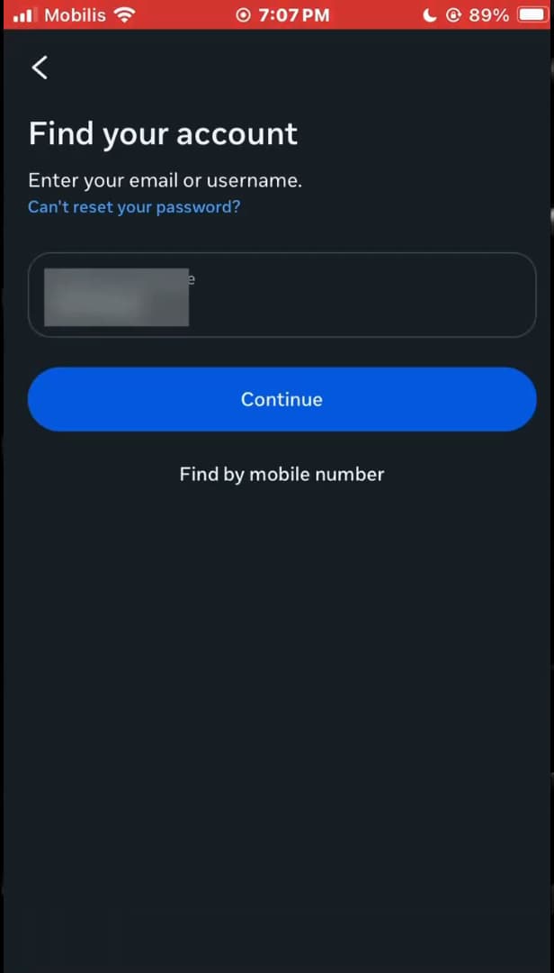 Options de connexion Instagram avec le nom d'utilisateur saisi